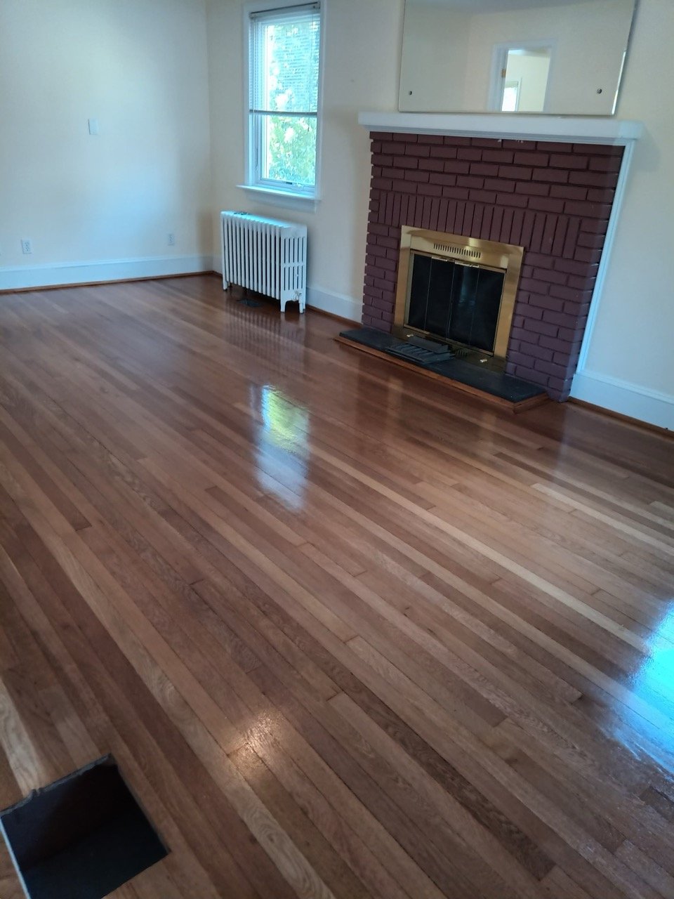 Freshly sanded and refinished hardwood floor